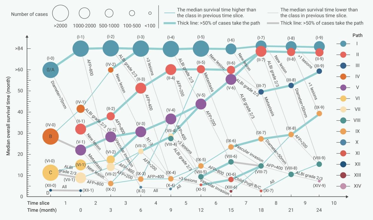【研究发布】Fusion-SP模型：基于时间序列的肝癌动态诊疗新框架
