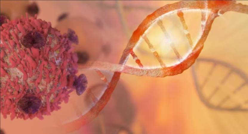 &ldquo;钻石基因&rdquo;NTRK：精准医疗的未来已来